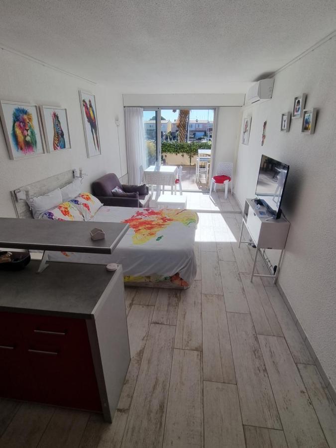 Cap Capistol Avec Terrasse, Vue Port Appartement Agde